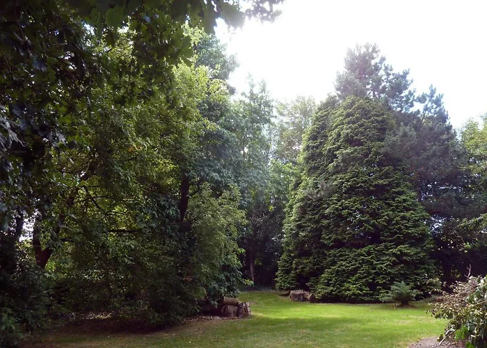 La Tiote Maison